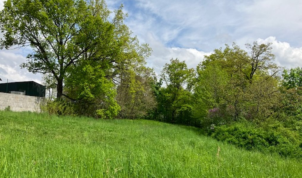 Prodej stavebního pozemku 2 553 m², Vysoký Chlumec – náhled fotky 11