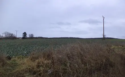 Ostatní
