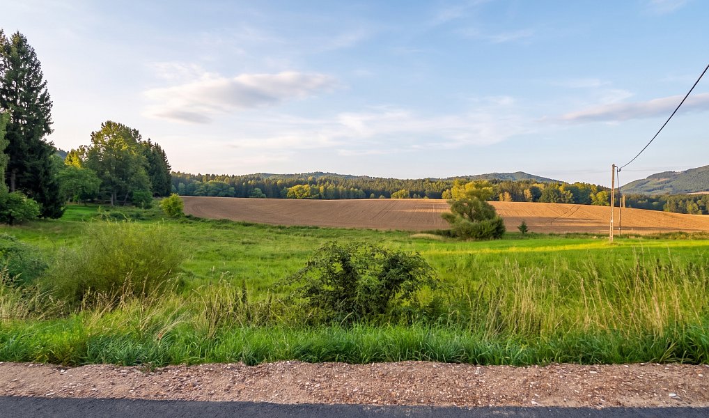Prodej zahrady 1 205 m², Rynoltice – náhled fotky 3