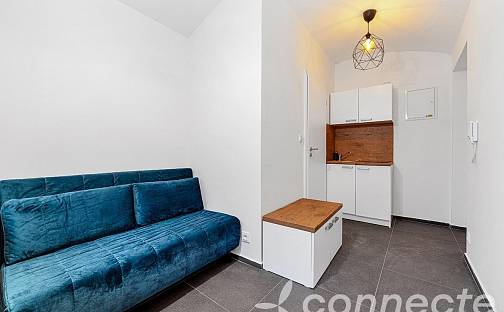 Prodej bytu 1+kk 16 m², Hejtmánkova, Praha 8 - Libeň