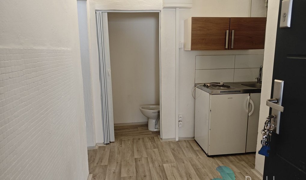 Pronájem bytu 1+kk 18 m², Kaplice – náhled fotky 3
