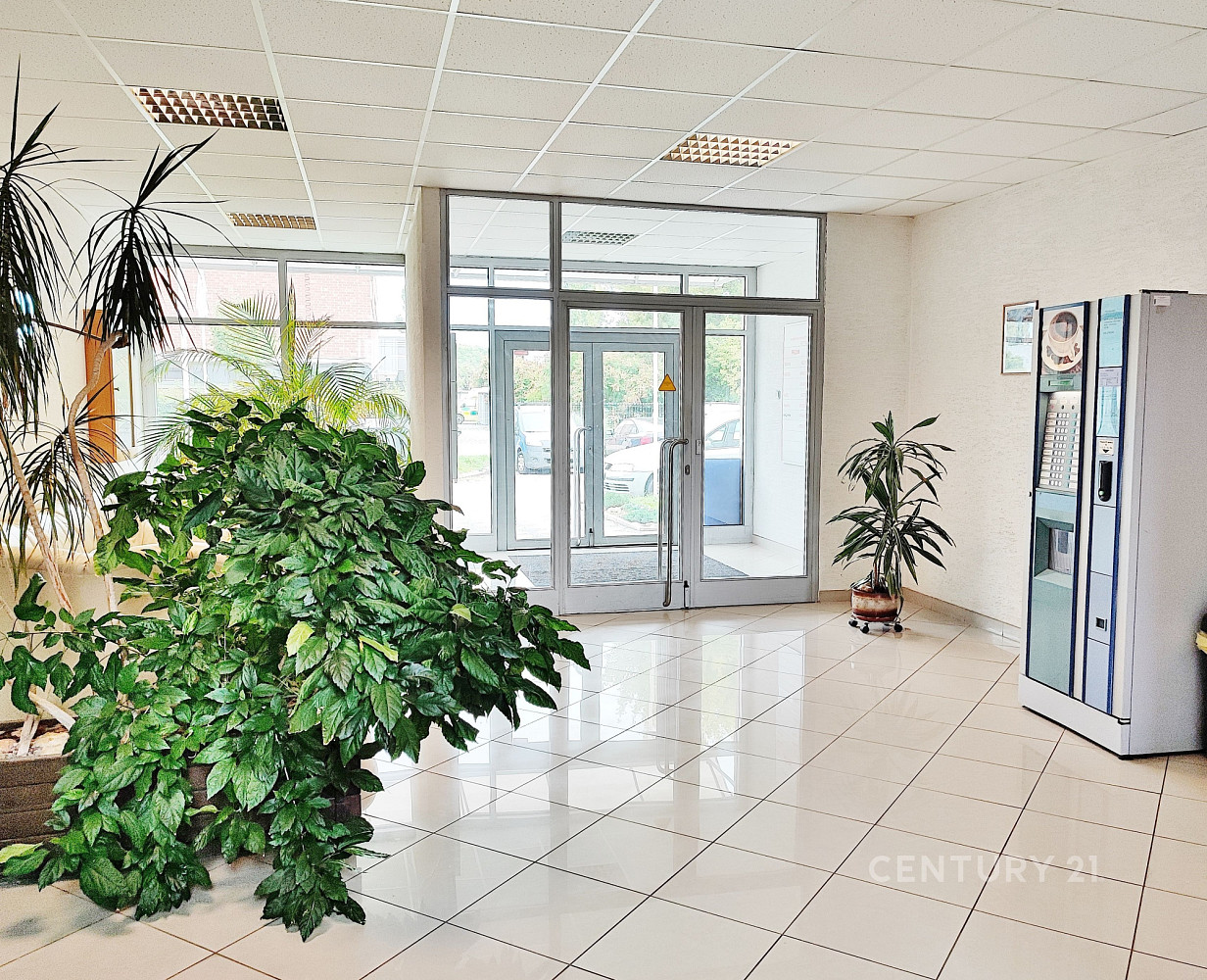 Pronájem kanceláře 18 m² – fotografie 4