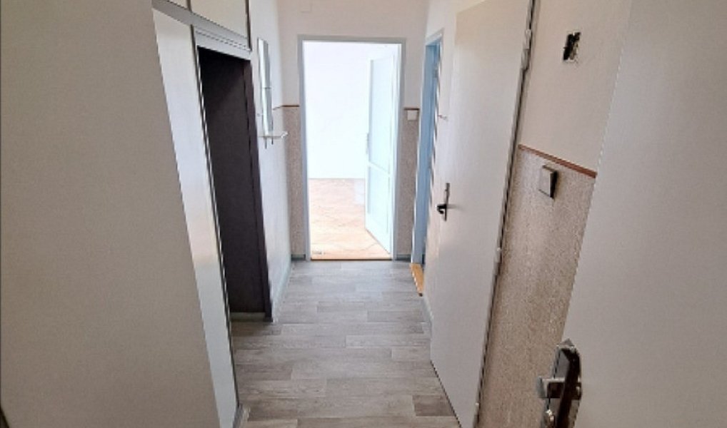 Pronájem bytu 2+1 56 m², Plzeň – náhled fotky 10