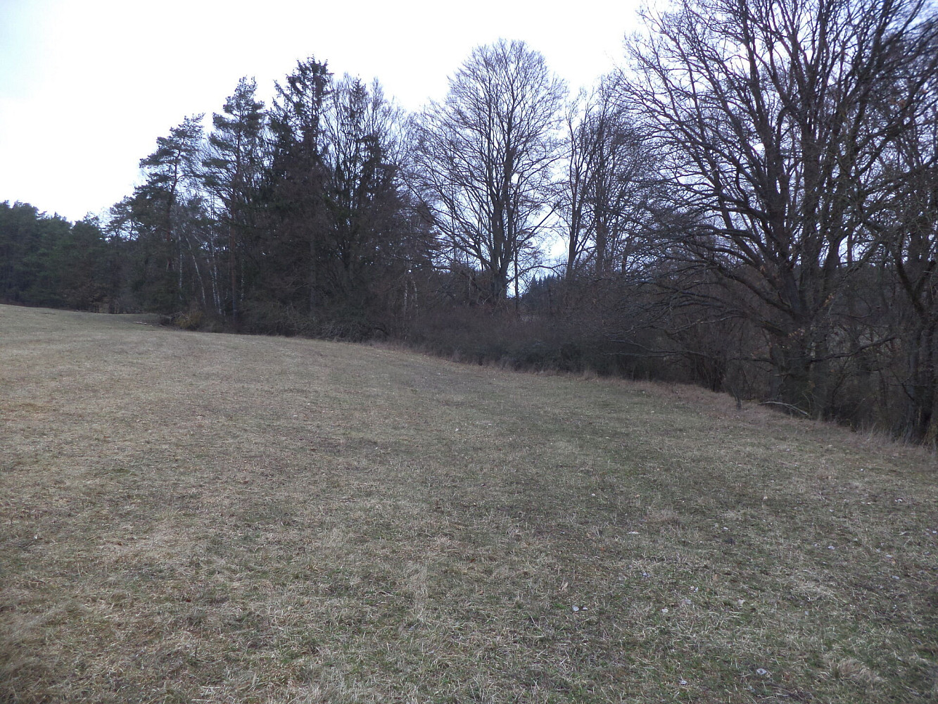 Prodej pole 6 625 m² – fotografie 3