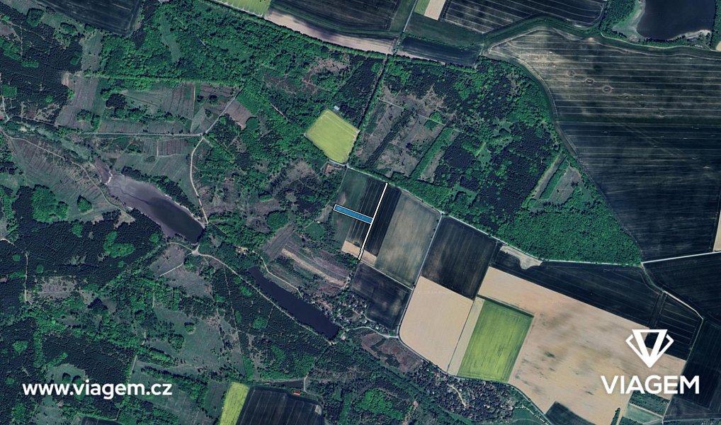 Prodej pole 2 068 m², Moravské Budějovice – náhled fotky 3