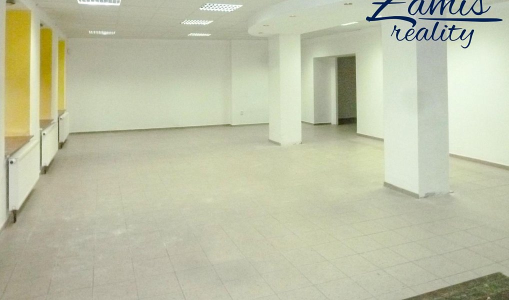 Prodej domu 400 m² s pozemkem 201 m², Kladno – náhled fotky 25