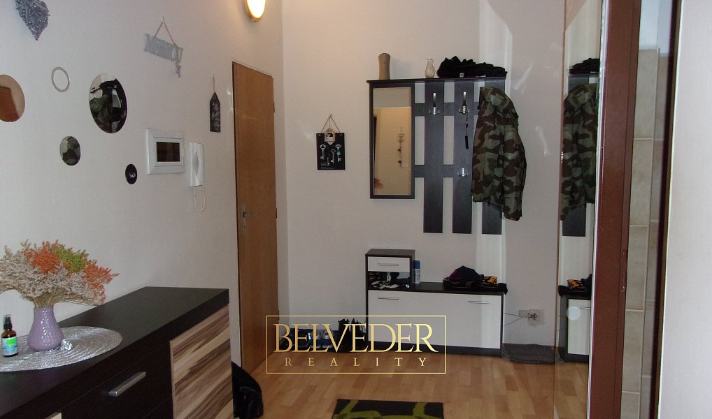 Pronájem bytu 1+1 66 m², Teplice – náhled fotky 6