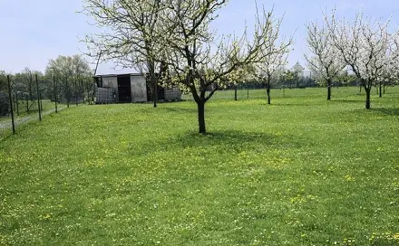 Prodej pozemku 878 m², Turovice, okres Přerov