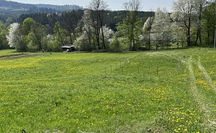 Prodej stavebního pozemku 1 183 m², Hošťálková, okres Vsetín