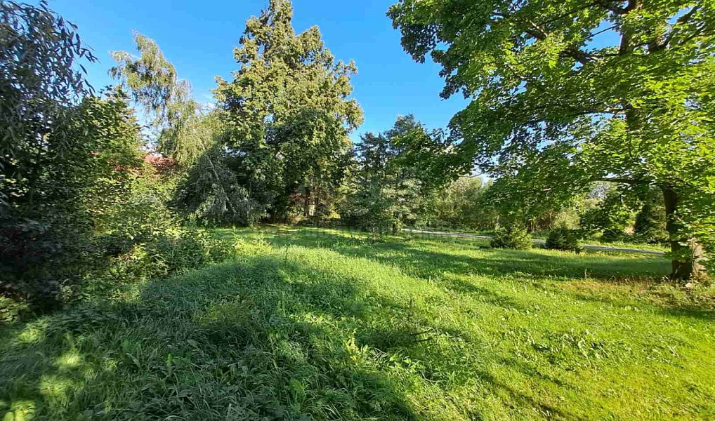 Prodej zahrady 719 m², Město Albrechtice – náhled fotky 4