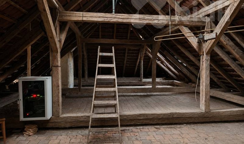 Prodej domu 700 m² s pozemkem 1 136 m², Suchdol nad Lužnicí – náhled fotky 14