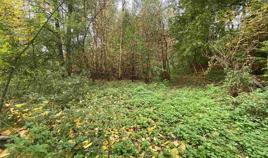 Prodej pozemku 1 003 m², Svijany – náhled fotky 3