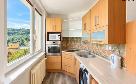 Pronájem bytu 2+1 50 m², Družstevní, Adamov, okres Blansko