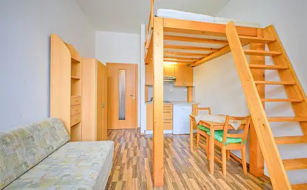 Pronájem bytu 1+kk 20 m², Brno - Černá Pole