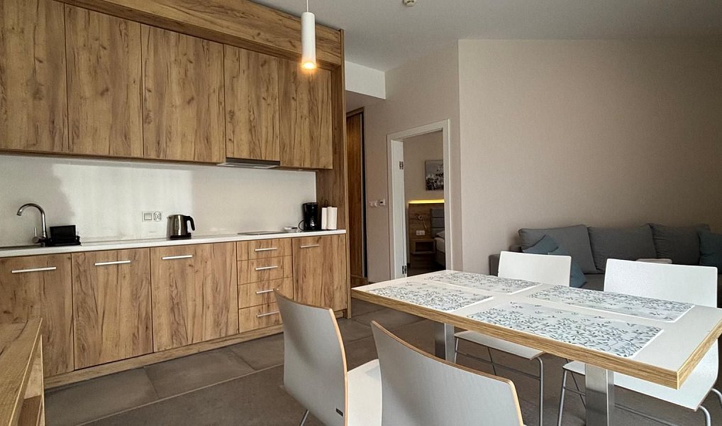Prodej bytu 2+kk 44 m², Dolní Morava – náhled fotky 3