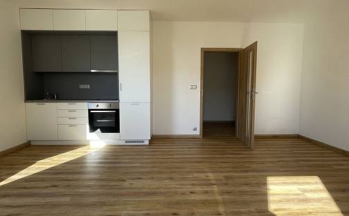 Pronájem bytu 1+kk 40 m², České Vrbné, České Budějovice - České Budějovice 2