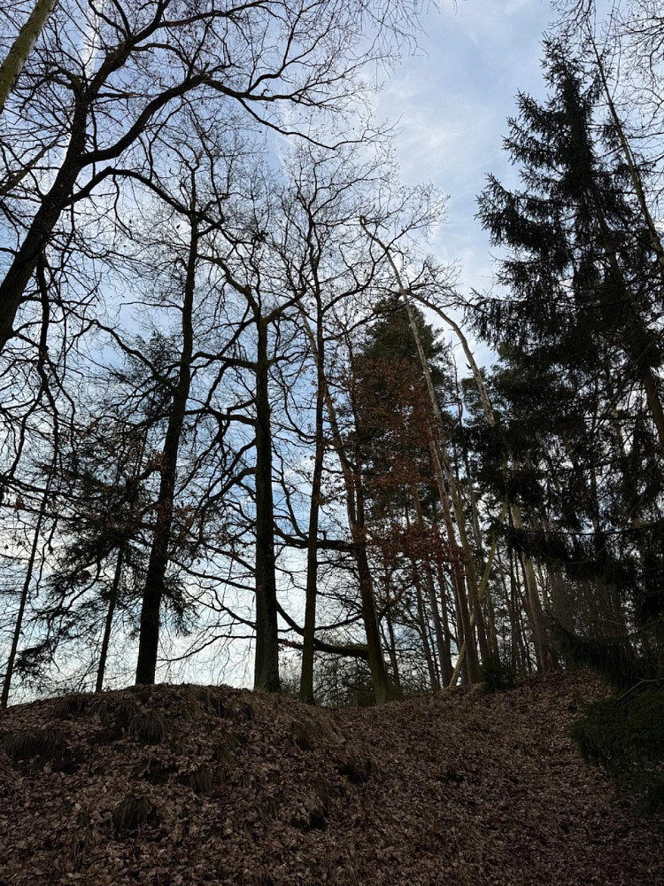 Fotka 6 z 21