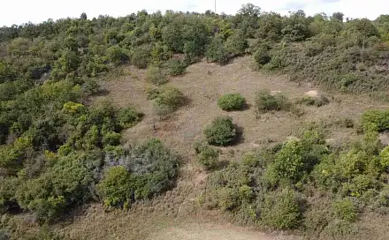 Prodej pole 22 441 m²