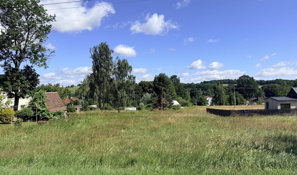 Prodej stavebního pozemku 3 451 m², Horní Podluží – náhled fotky 3