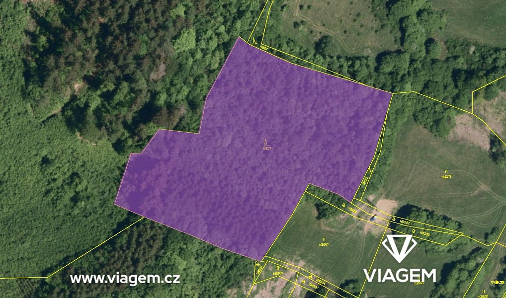Prodej lesa 13 331 m², Vsetín – náhled fotky 4
