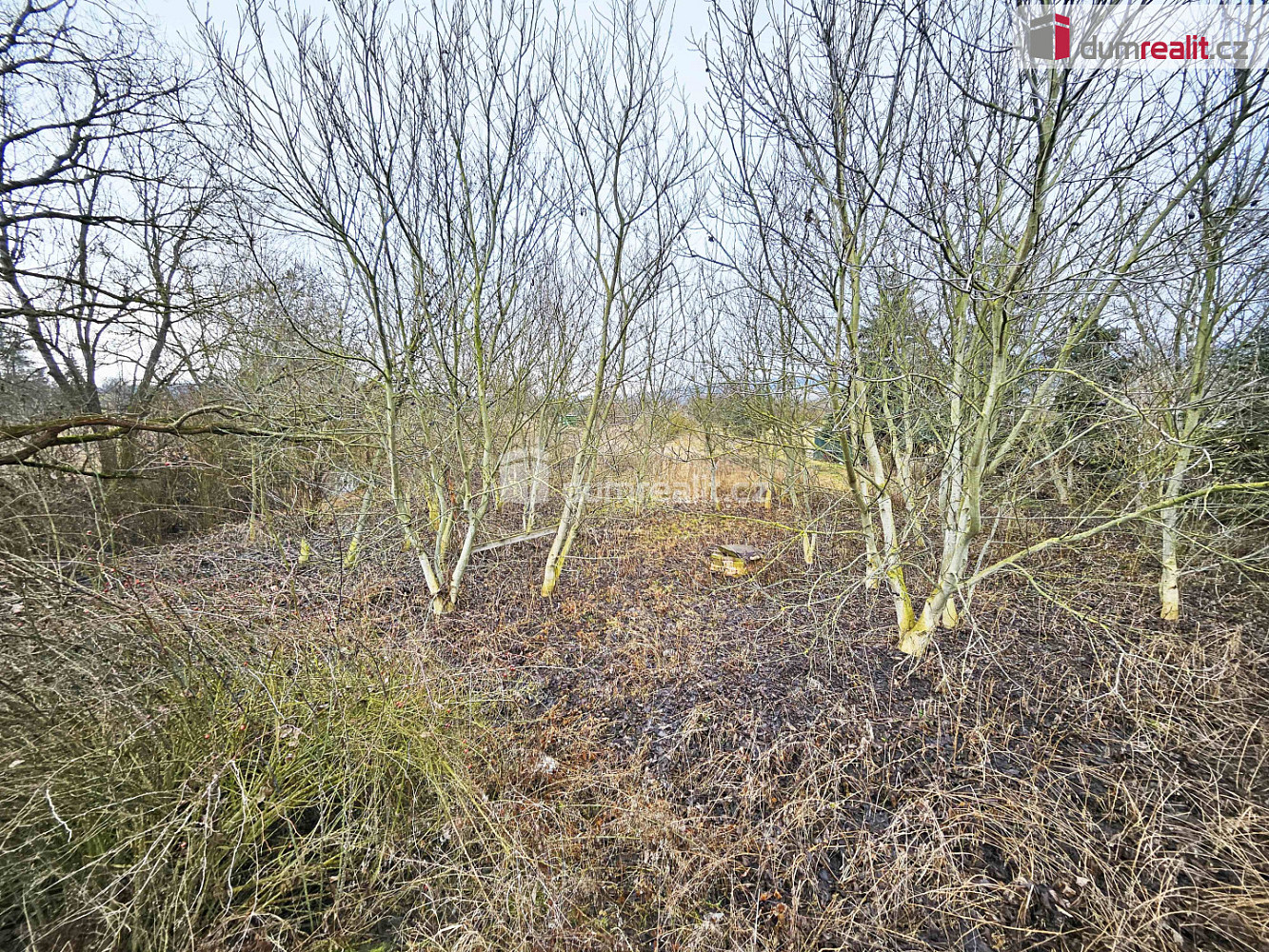 Prodej pole 1 549 m² — photo 2
