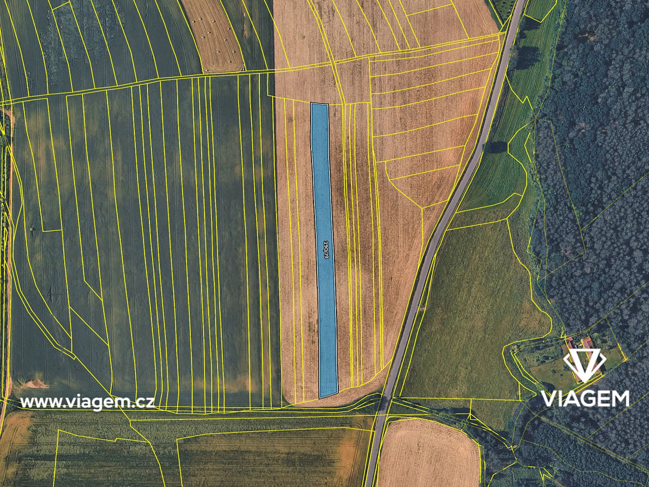 Prodej pole 1 856 m² – fotografie 4