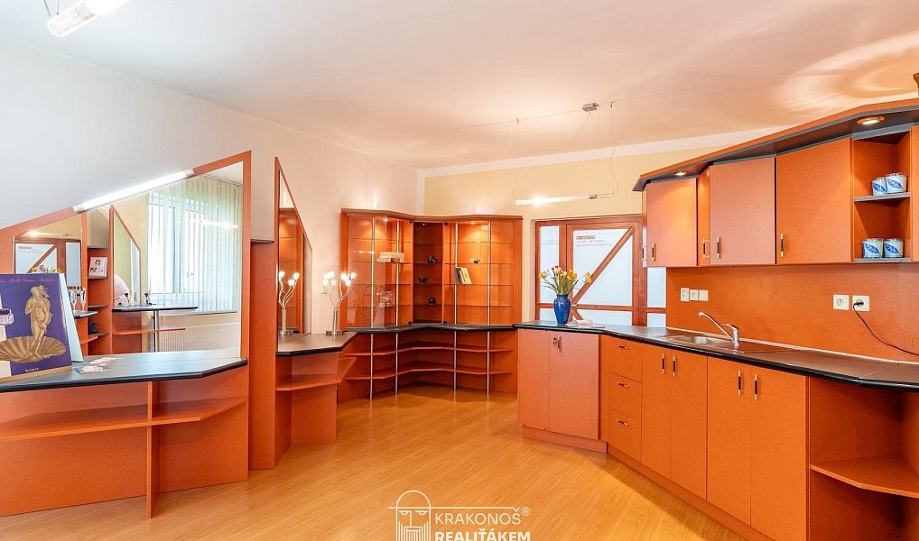 Pronájem komerčního objektu (jiného typu) 96 m², Hranice – náhled fotky 22