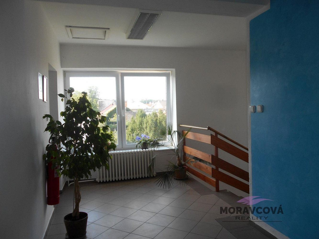 Pronájem kanceláře 17 m² – fotografie 5