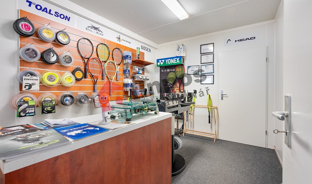 Prodej komerčního objektu (jiného typu) 5 066 m², Kyjov – náhled fotky 12