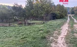 Ostatní