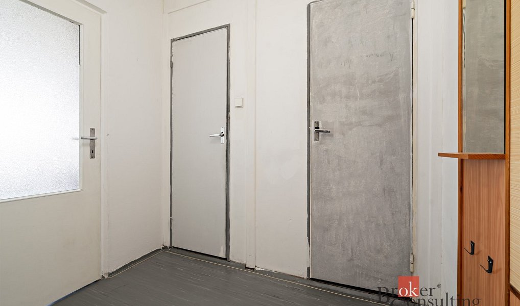 Prodej bytu 1+1 47 m², Plzeň – náhled fotky 6