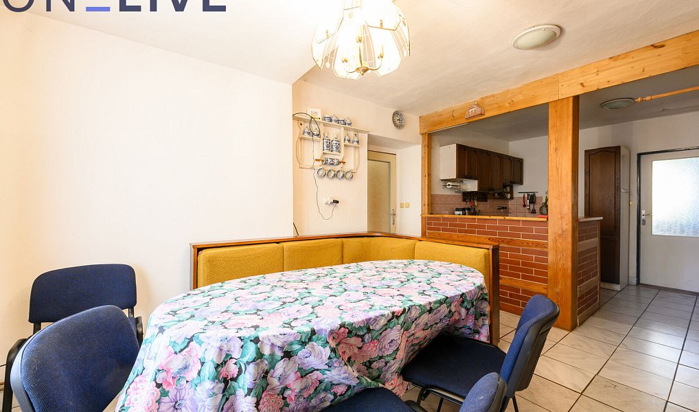 Prodej domu 234 m² s pozemkem 1 080 m², Tužice – náhled fotky 13