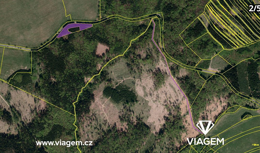 Prodej lesa 3 318 m², Bojkovice – náhled fotky 8
