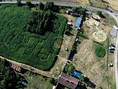 Prodej stavebnho pozemku 8338m2