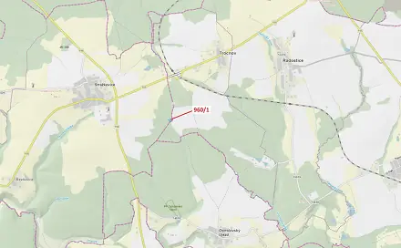 Dražba lesa 2 342 m², Strážkovice