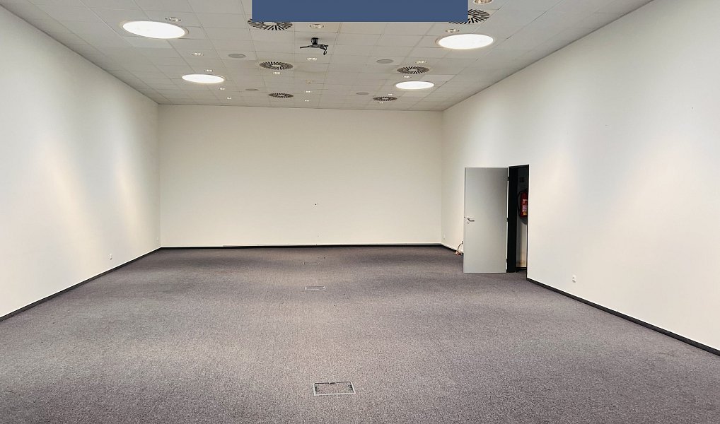 Pronájem obchodních prostor 1 290 m², Průhonice – náhled fotky 24