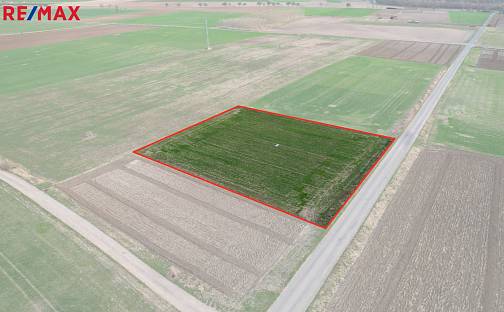 Prodej pole 3 665 m², Terezín, okres Litoměřice