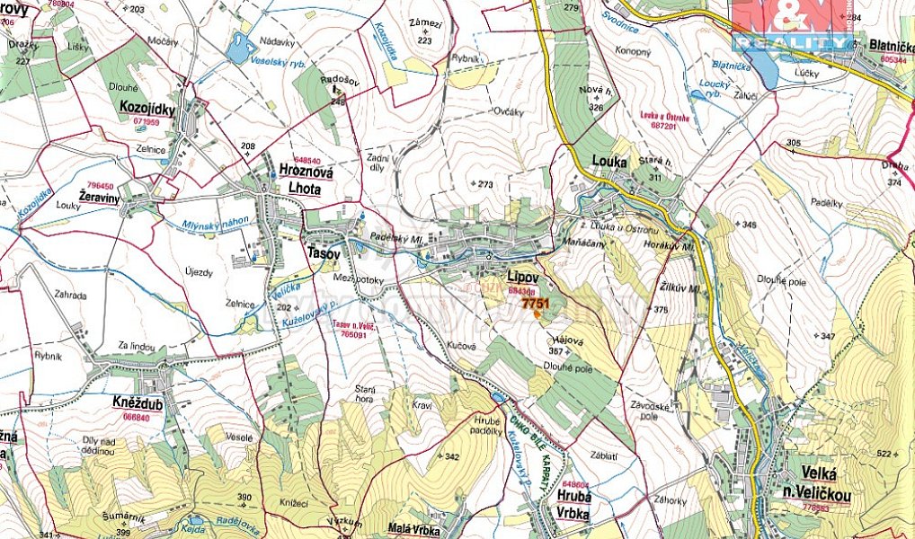 Prodej lesa 2 314 m², Lipov – náhled fotky 5