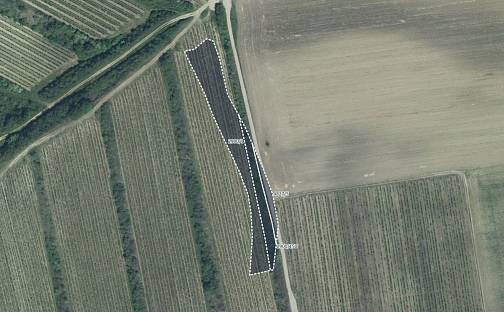 Prodej pole 3 575 m², Čejkovice, okres Hodonín
