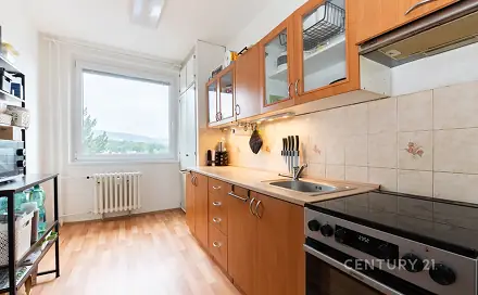 Prodej bytu 4+1 81 m²