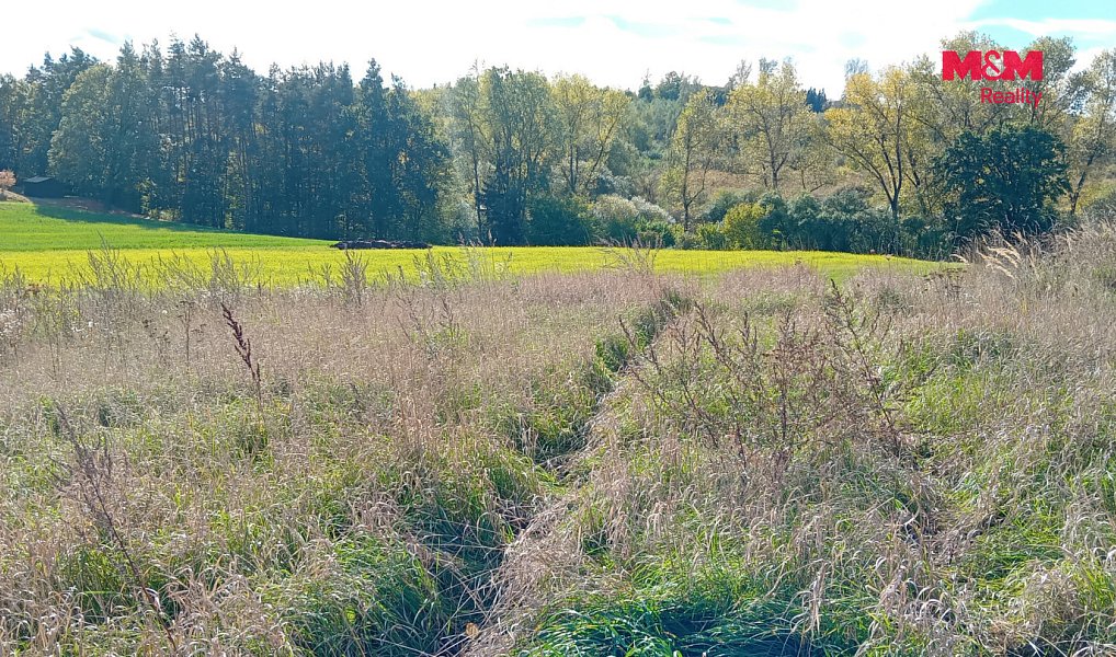 Prodej stavebního pozemku 6 409 m², Řehenice – náhled fotky 5