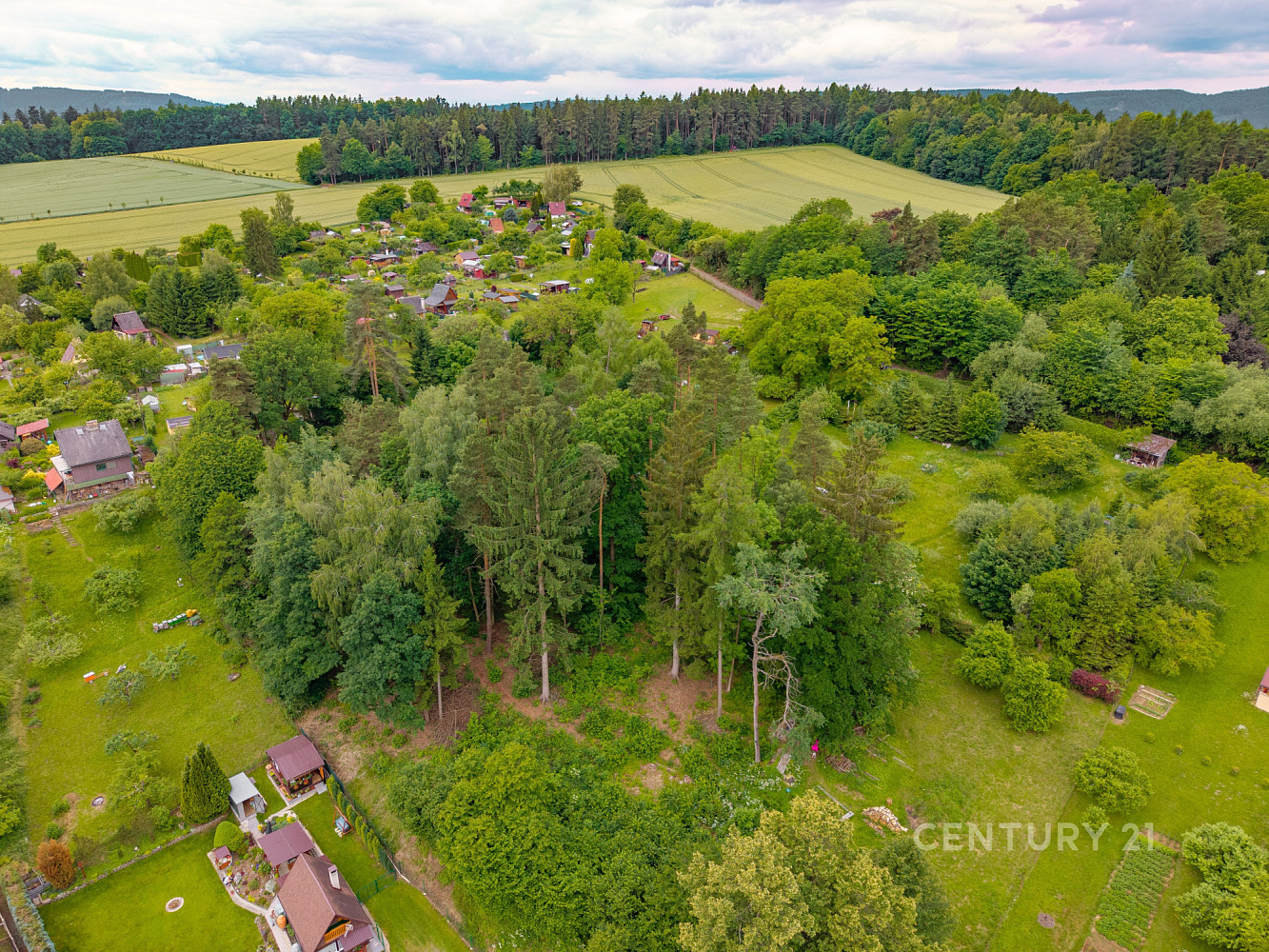 Prodej zahrady 4 170 m² – fotografie 5