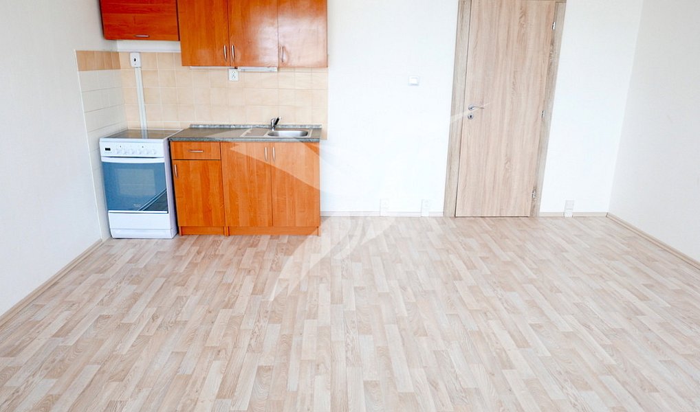 Pronájem bytu 1+kk, 31 m², Bolevec, Plzeň-město, Plzeň