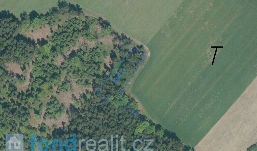 Prodej pozemku 4 992 m², Studená – náhled fotky 8