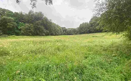 Prodej pozemku 1 500 m², Úterý - Vidžín, okres Plzeň-sever