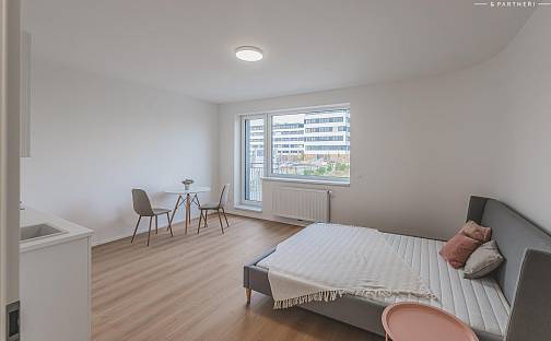 Pronájem bytu 1+kk 30 m², Antonína Petrofa, Hradec Králové - Nový Hradec Králové