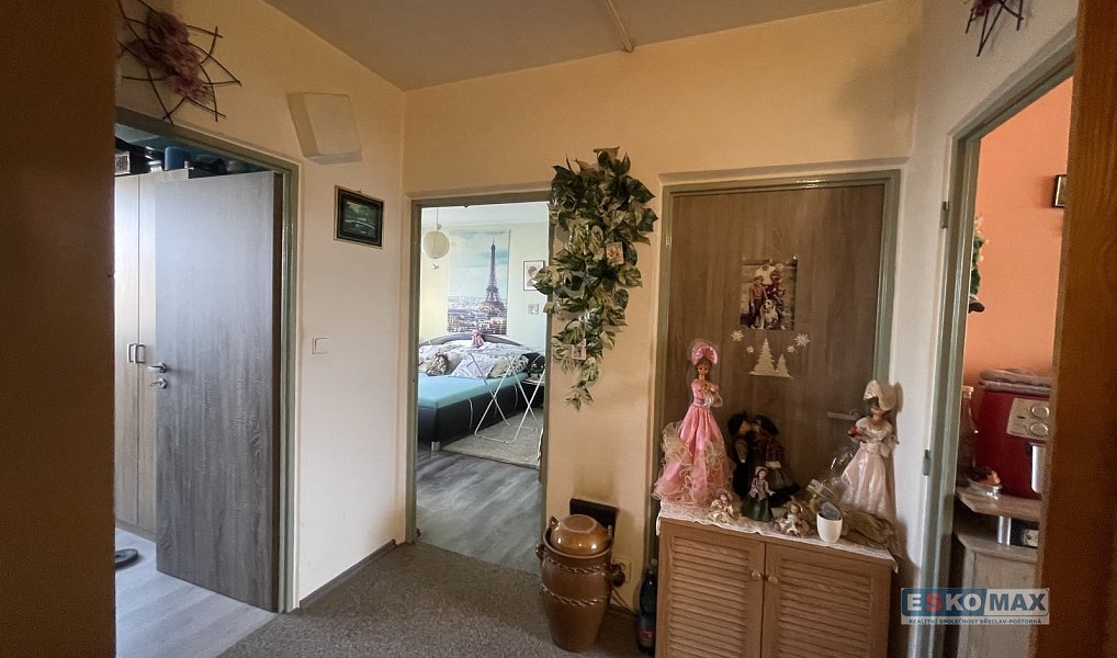 Prodej bytu 3+1 75 m², Břeclav – náhled fotky 9