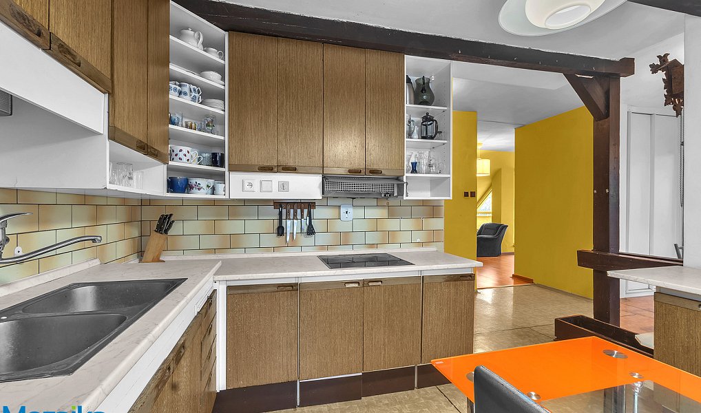 Prodej domu 322 m² s pozemkem 1 175 m², Letohrad – náhled fotky 10