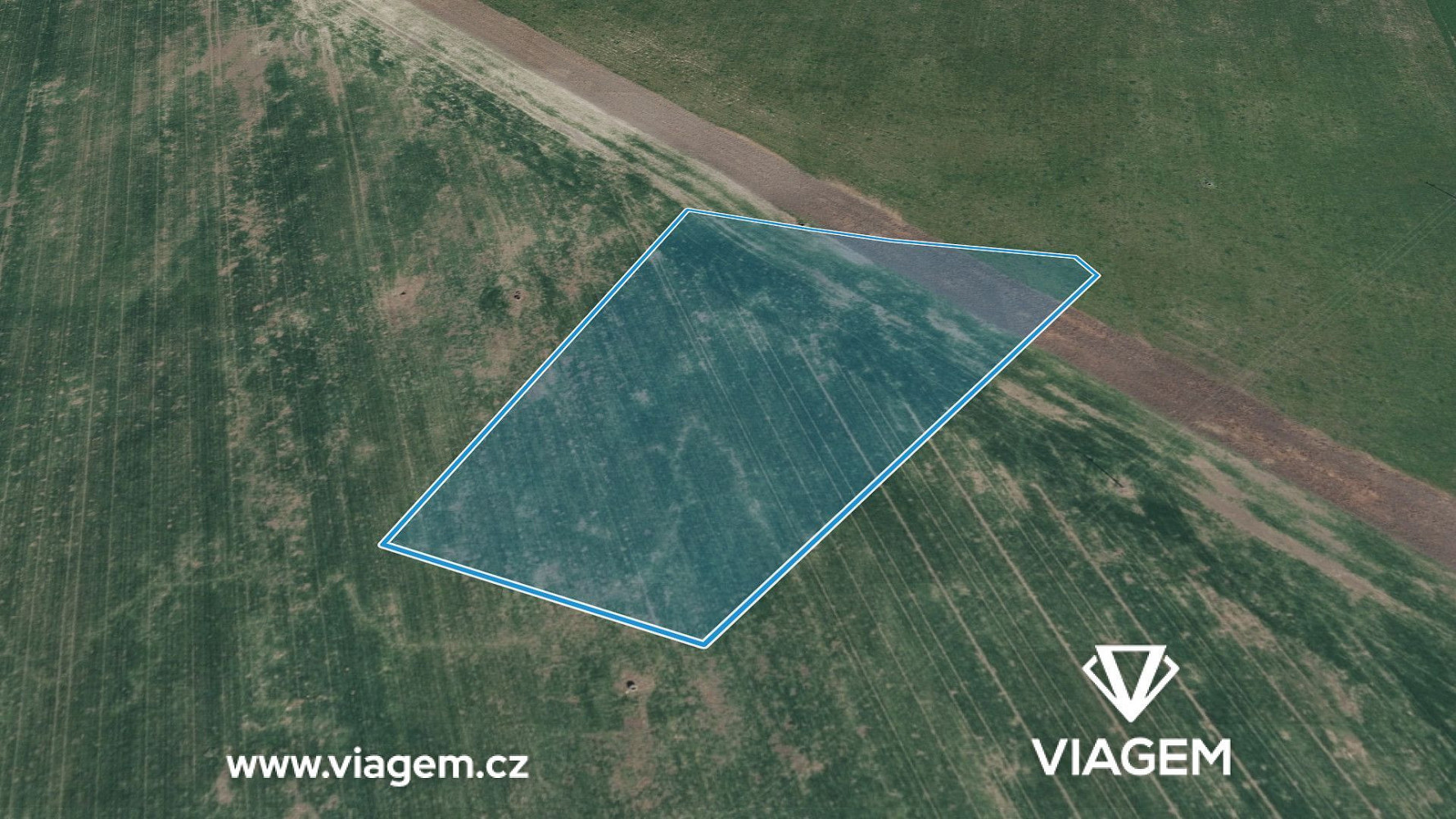 Prodej pole 2 468 m² – fotografie 2