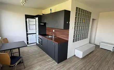 Pronájem bytu 1+1 35 m², Javorová, Most